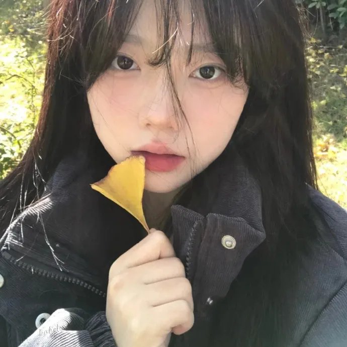 西域风光